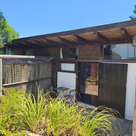 Amrita Shala Colares