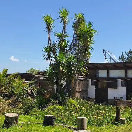 Kamp alanı Amrita Shala