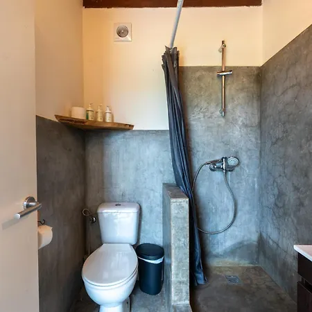 Amrita Shala Colares