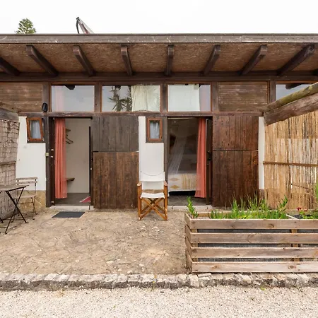 Kamp alanı Amrita Shala