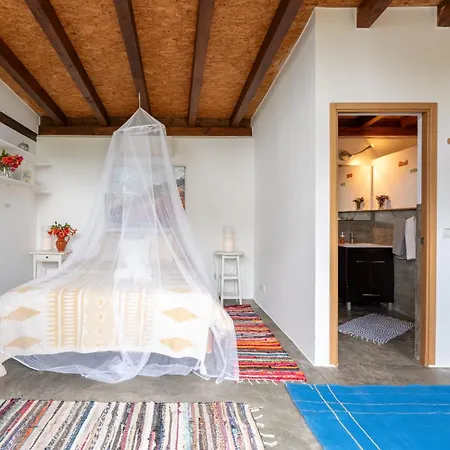 Amrita Shala * Colares