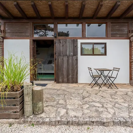 Amrita Shala * Colares