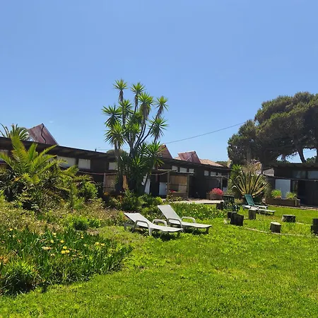 Amrita Shala Colares