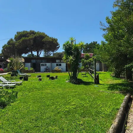 Amrita Shala * Colares