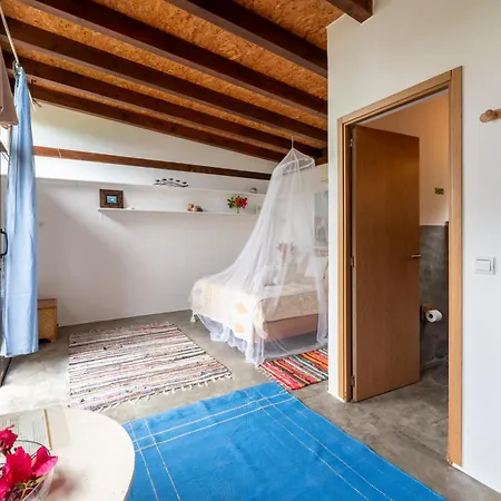 Amrita Shala Colares