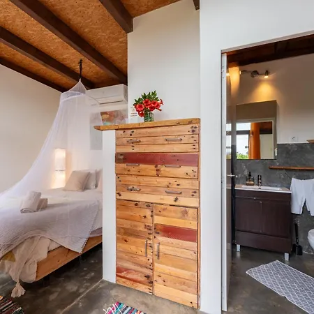 Amrita Shala Colares