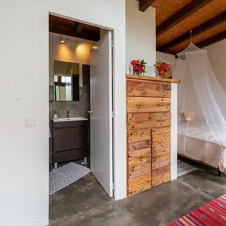 Amrita Shala * Colares