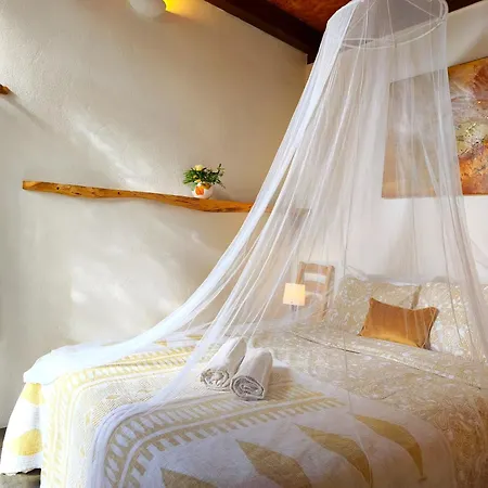 Amrita Shala Colares