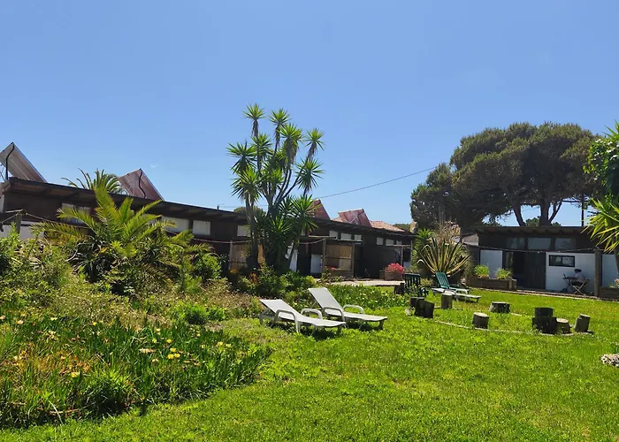 Amrita Shala Colares