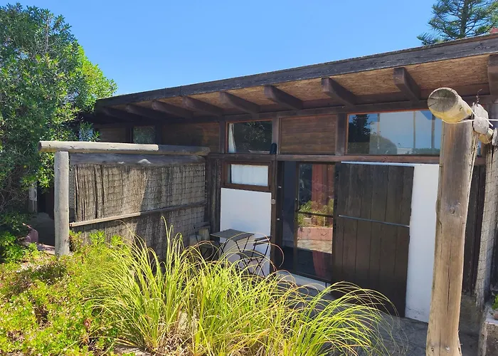 Amrita Shala Colares