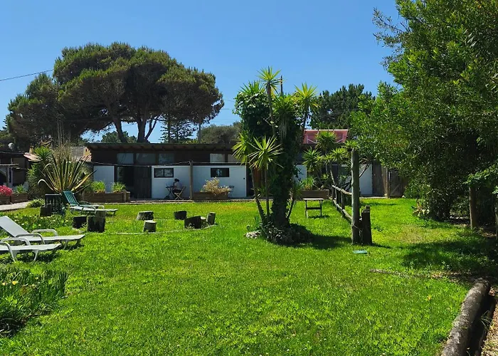 Amrita Shala * Colares