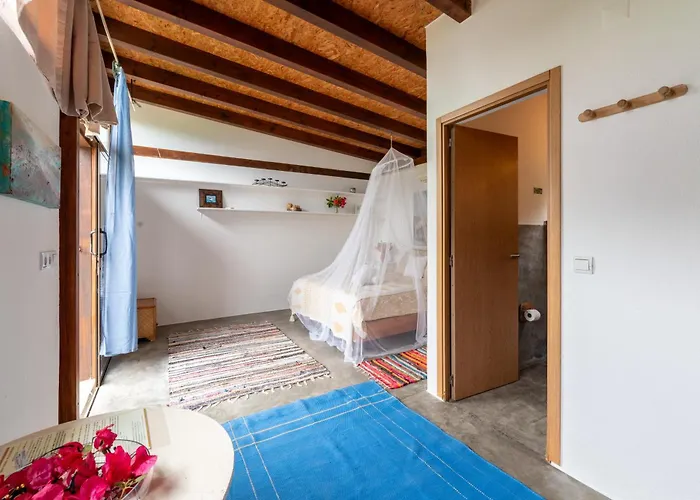 Amrita Shala Colares