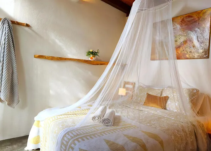 Amrita Shala Colares